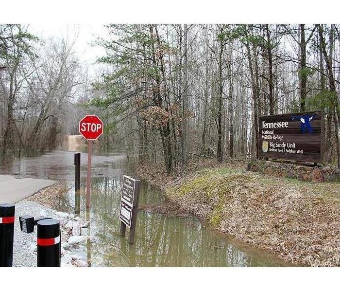 Flooding strikes at Tennessee National Wildlife Refuge. Source: Paris Post-Intelligencer